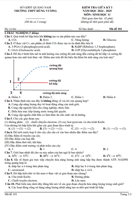 Đề giữa học kỳ 1 Sinh học 11 năm 2024 – 2025 trường THPT Hùng Vương – Quảng Nam