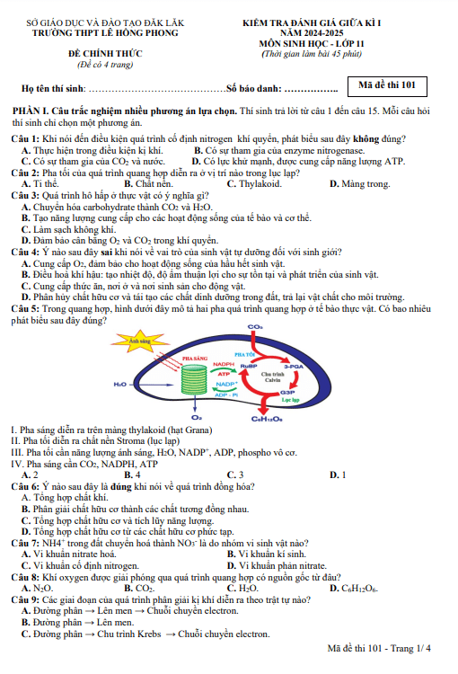 Đề giữa kì 1 Sinh học 11 năm 2024 – 2025 trường THPT Lê Hồng Phong – Đắk Lắk