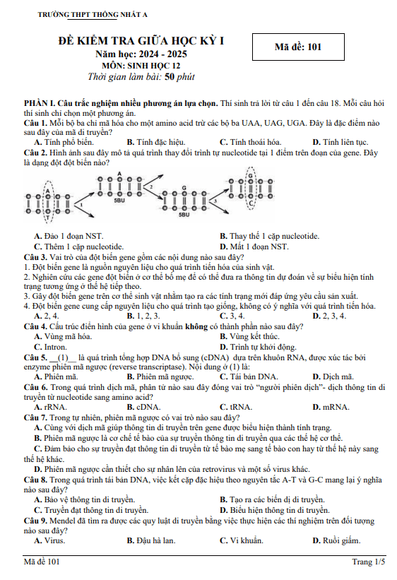 Đề giữa kì 1 Sinh học 12 năm 2024 – 2025 trường THPT Thống Nhất A – Đồng Nai