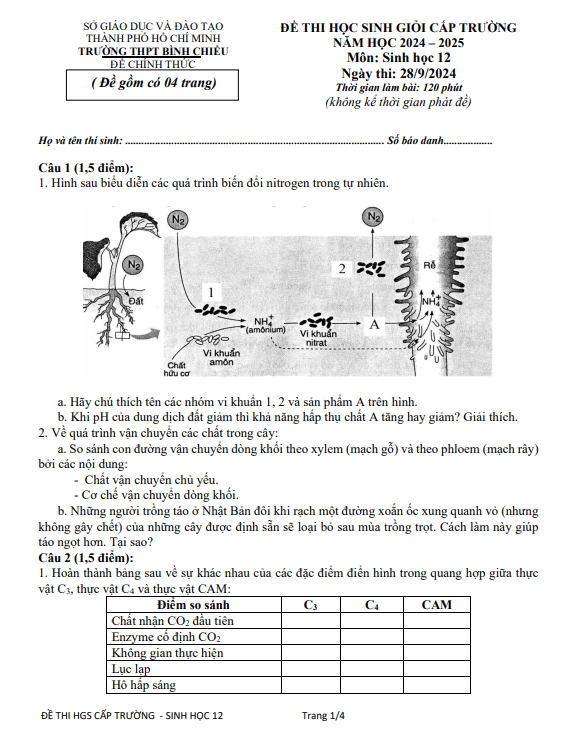 Đề học sinh giỏi Sinh học 12 năm 2024 – 2025 trường THPT Bình Chiểu – TP HCM