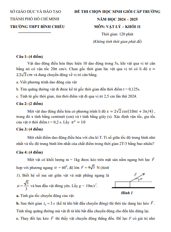 Đề học sinh giỏi Vật lí 11 năm 2024 – 2025 trường THPT Bình Chiểu – TP HCM