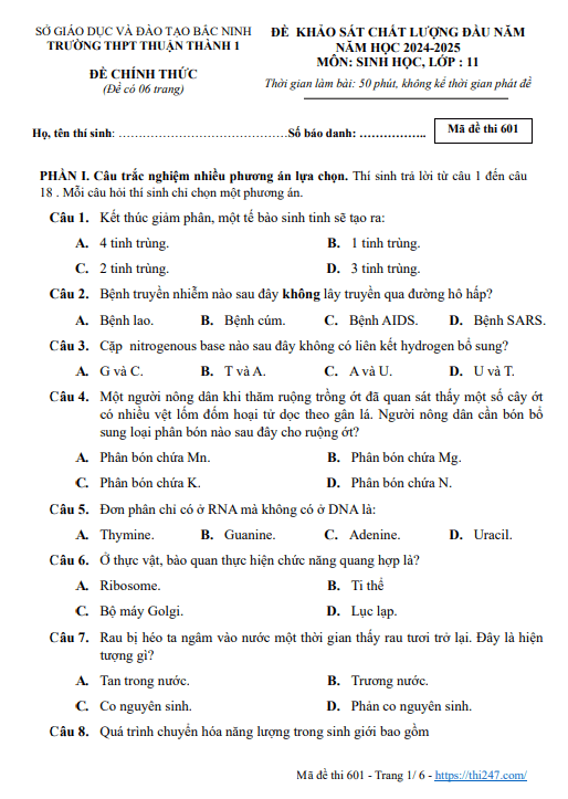 Đề khảo sát Sinh học 11 đầu năm học 2024 – 2025 trường THPT Thuận Thành 1 – Bắc Ninh