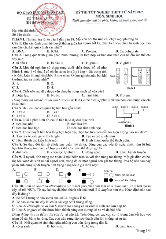 Đề tham khảo kỳ thi tốt nghiệp THPT môn Sinh học từ năm 2025